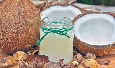 தேங்காய் எண்ணெய் லி. ரூ.560-க்கு விற்பனை