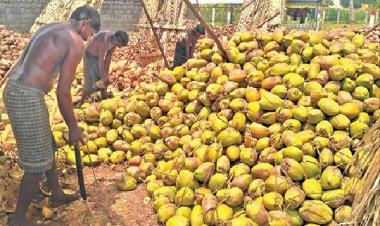 தேங்காய் எண்ணெய் விற்பனை தொடர்பில் விடுக்கப்பட்ட கோரிக்கை :பறந்தது கடிதம்