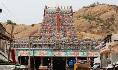 திருப்பரங்குன்றம் மலையில் ஆடு, கோழி பலியிடக்கூடாது; உயர்நீதிமன்றத்தில் வாதம்