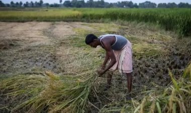 சிபில் ஸ்கோர் சிக்கல்: விவசாயிகளின் உரிமைகளை மீட்டெடுக்கும் உண்ணாவிரத போராட்டம் - தற்காலிக ஒத்திவைப்பு