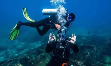 நூறு ஆண்டுக்கு முன் கடலில் மூழ்கிய சென்னை - பர்மா கப்பலில் இருந்த 1,600 பேர் என்ன ஆயினர்