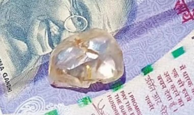 வயலில் கிடைத்த வைரக்கல்: ஒரே நாளில் அதிர்ஷ்டசாலியாக மாறிய பெண் விவசாயி