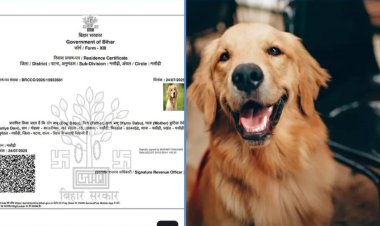 நாய்க்கு இருப்பிடச் சான்றிதழ் கோரியவர் மீது வழக்குப்பதிவு