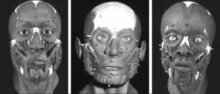 கீழடி: 2500 ஆண்டுக்கு முந்தைய மண்டை ஓட்டை மனித முகமாக ஆய்வாளர்கள் வடிவமைத்தது எப்படி?