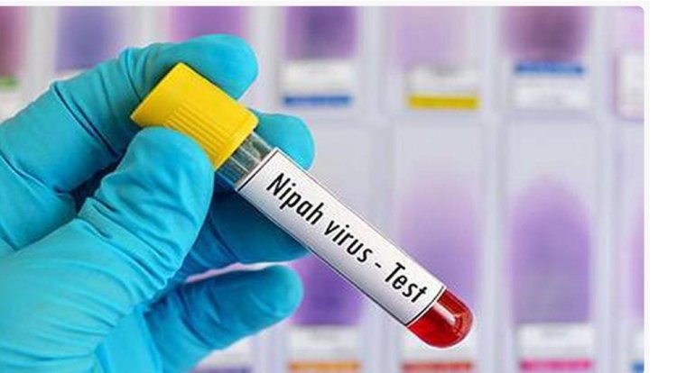 கேரளாவில் மீண்டும் நிபா வைரஸ்? - 3 மாவட்டங்களுக்கு எச்சரிக்கை