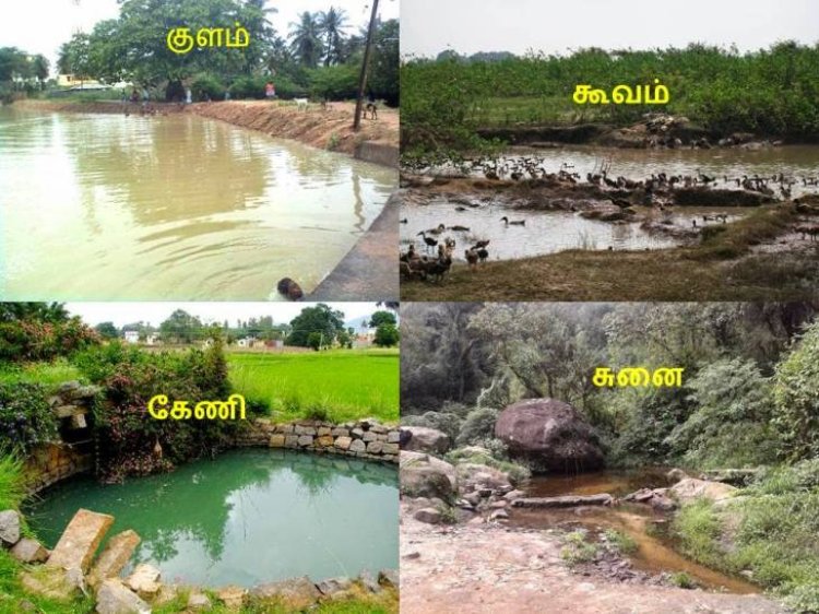 சென்னை, செங்கல்பட்டு, காஞ்சிபுரம், திருவள்ளூரில் ஆக்கிரமிப்புகளுக்கு பெரிய செக்.. புதிய வெப்சைட்
