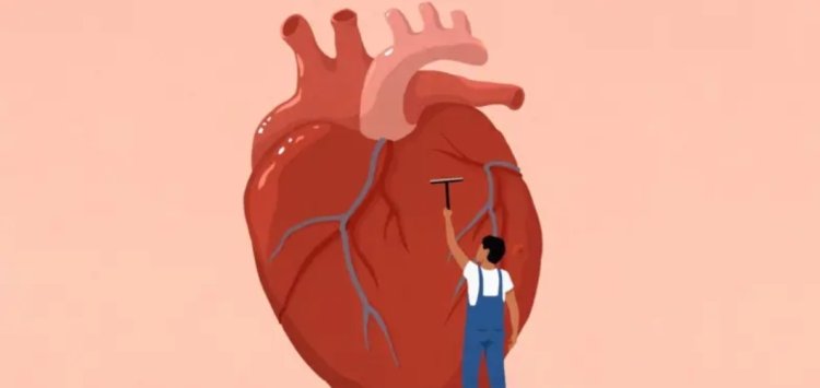 மாரடைப்பு வருவது எப்படி? அறிகுறிகளும் வராமல் தடுக்கும் வழிமுறைகளும்