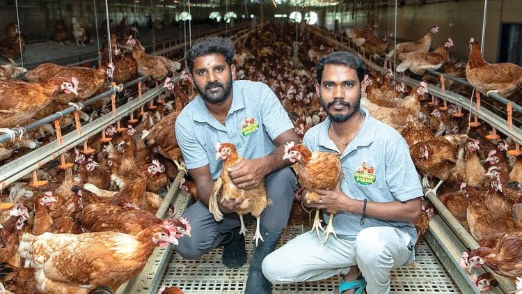 திறந்தவெளியில் வளரும் கோழிகளுக்கும் முட்டைகளுக்கும் பெரிய மார்க்கெட் இருக்கு!''