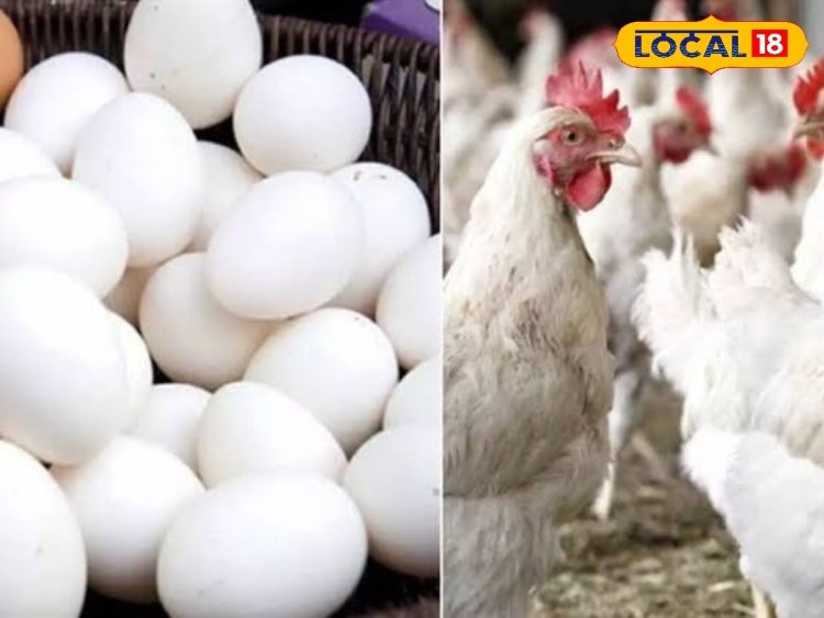 உலகில் முட்டையை அதிகம் உற்பத்தி செய்யும் நாடு எது தெரியுமா? இந்தியாவுக்கு எந்த இடம்?