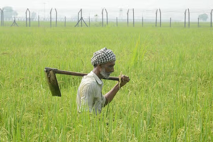 இம்மாதம் முதல் வருகிறது பணம்: விவசாயிகளுக்கு வெளியான மகிழ்ச்சி தகவல்