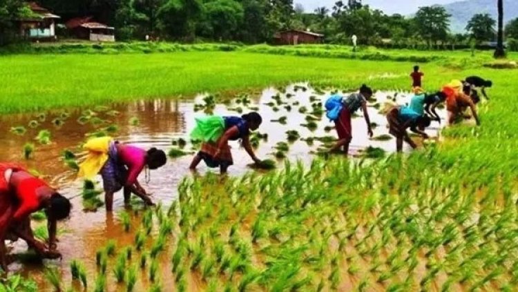 ஈரோடு விவசாயிகளுக்கு வரும் வேளாண் அதிகாரி அழைப்பு.. அடுத்த நிமிடம் பறிபோகும் பணம்.. பின்னணி