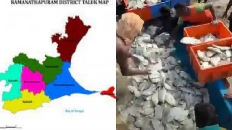 ராமநாதபுரத்தில் வலையில் சிக்கிய பொக்கிஷம்.. குஷியில் துள்ளிய கண்ணன்.. ஒரே நாளில் லட்சக்கணக்கில் பணம்