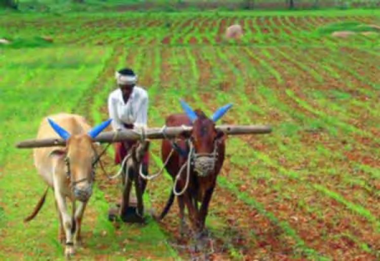 ஆண்டு வருமானம் ரூ.3 மட்டுமே கொண்ட விவசாயி:குளறுபடி வருமானச் சான்றிதழ் இணையத்தில் வைரல்