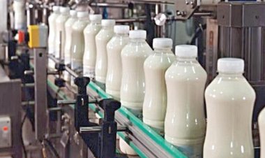 அமெரிக்காவுடன் வர்த்தக ஒப்பந்தம் தாமதமாவது ஏன்? - விவசாயிகளை பாதிக்கும் அம்சங்களை ஏற்க இந்தியா மறுப்பு