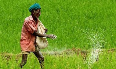 பிரதமர் கிசான் சம்மான் நிதி திட்டம்: 9.7 கோடி விவசாயிகளுக்கு ரூ.20,500 கோடி விடுவிப்பு