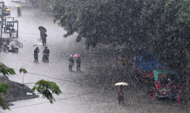 தமிழகத்தில் நாளை 4 மாவட்டங்களில் கனமழை - வானிலை மையம்