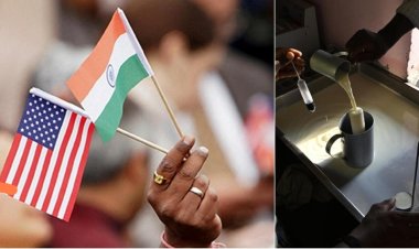 அசைவ பால்’ விவகாரமும், இந்தியா - அமெரிக்கா முரண்பாடுகளும்: ஒரு தெளிவுப் பார்வை