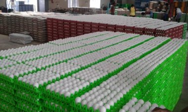 வரி விதிப்பு எதிரொலியால் அமெரிக்காவுக்கு முட்டை ஏற்றுமதி நிறுத்தம்: ஏற்றுமதியாளர்கள் கவலை