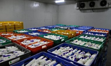 சென்னை உள்ளிட்ட முக்கிய நகரங்களில் ஆவின் பால் விற்பனை 30 சதவீதம் அதிகரிப்பு: அமைச்சர் தகவல்