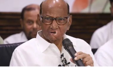 மகாராஷ்டிரா தேர்தலில் 160 இடங்களில் வெற்றி பெற வைக்க பேரம் பேசினார்கள்: சரத் பவார் பகீர் தகவல்