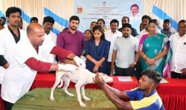 தெரு நாய்களுக்கு தடுப்பூசி திட்டத்தை சென்னை மேயர் பிரியா தொடங்கி வைத்தார்