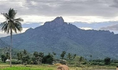 பருவதமலையில் இருந்து கீழே இறங்கியபோது வெள்ளத்தில் சிக்கி உயிரிழந்த 2 பெண்களின் உடல்கள் மீட்பு