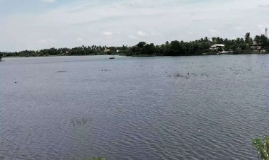 தொடர்மழையால் காவிரியில் நீர்வரத்து அதிகரிப்பு - தஞ்சை மாவட்ட ஏரிகளில் நீர்மட்டம் உயர்வு