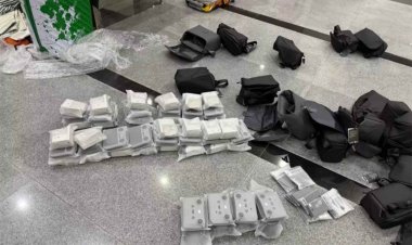 கோவை விமான நிலையத்தில் ரூ. 7 கோடி மதிப்புள்ள ஹைட்ரோபோனிக் கஞ்சா பறிமுதல்