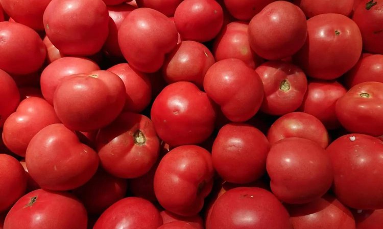 வரத்து குறைவால் தக்காளி விலை உயர்வு