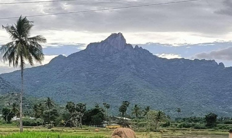 பருவதமலையில் இருந்து கீழே இறங்கியபோது வெள்ளத்தில் சிக்கி உயிரிழந்த 2 பெண்களின் உடல்கள் மீட்பு