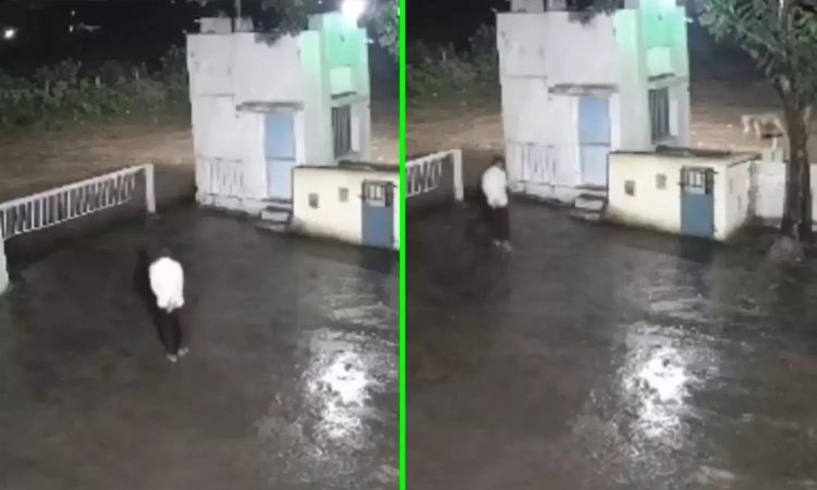 அவசரத்துக்கு 'ஒதுங்க போன' நபரின் எதிரில் திடீரென வந்த சிங்கம்; அடுத்து திக் திக் நிமிடங்கள்... வைரலான வீடியோ